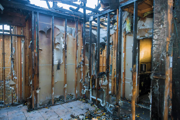 Professional Fire Damage Removal technician working in Sidney, OH